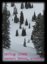 Spring Creek, Wyoming